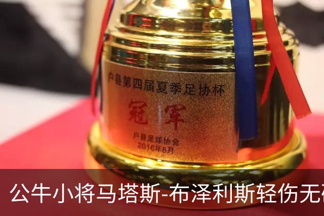 公牛小将马塔斯-布泽利斯轻伤无碍，将继续参加季前赛